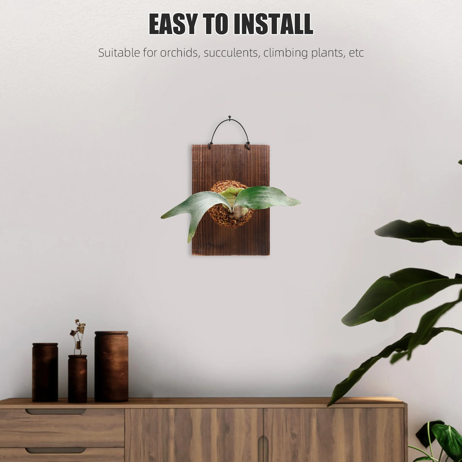 Staghorn Fern Hanging Board Plant Wall Mount Craft Wood Signs Projects Rustic Decor Wooden Plaque Balcony Bedroom
Staghorn Fern Hanging Board Plant Wall Mount Craft Wood Signs Projects Rustic Decor Wooden Plaque Balcony Bedroom