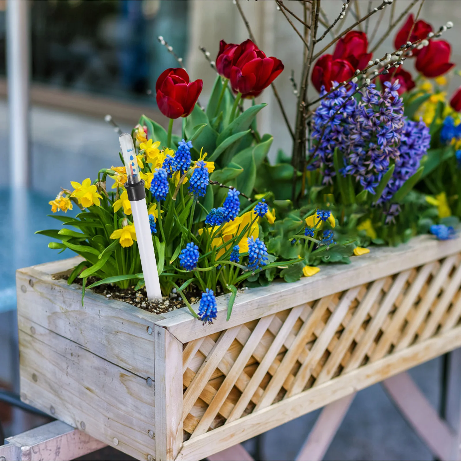 4Pcs Floating Gauge for Hydroponics Water Level Monitor Indoor Plants Moisture Indicator Display Meter Planter Hydration Sensor
4Pcs Floating Gauge for Hydroponics Water Level Monitor Indoor Plants Moisture Indicator Display Meter Planter Hydration Sensor