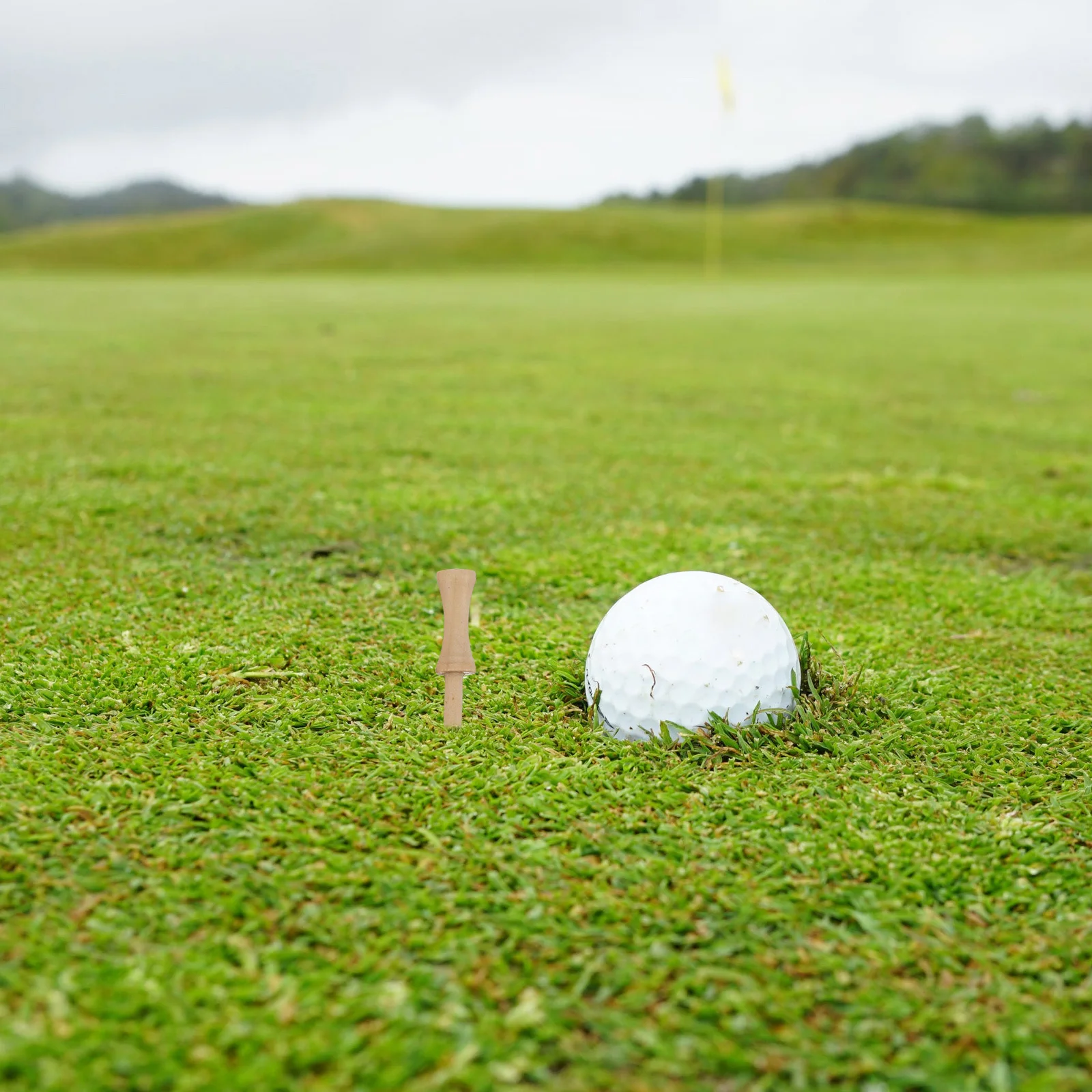 35Pcs Golf Tees Premium Plastic Professional High Tee Training Aids Longer Distance Accuracy Golfs Tees Plastic Golfs Tee
35Pcs Golf Tees Premium Plastic Professional High Tee Training Aids Longer Distance Accuracy Golfs Tees Plastic Golfs Tee