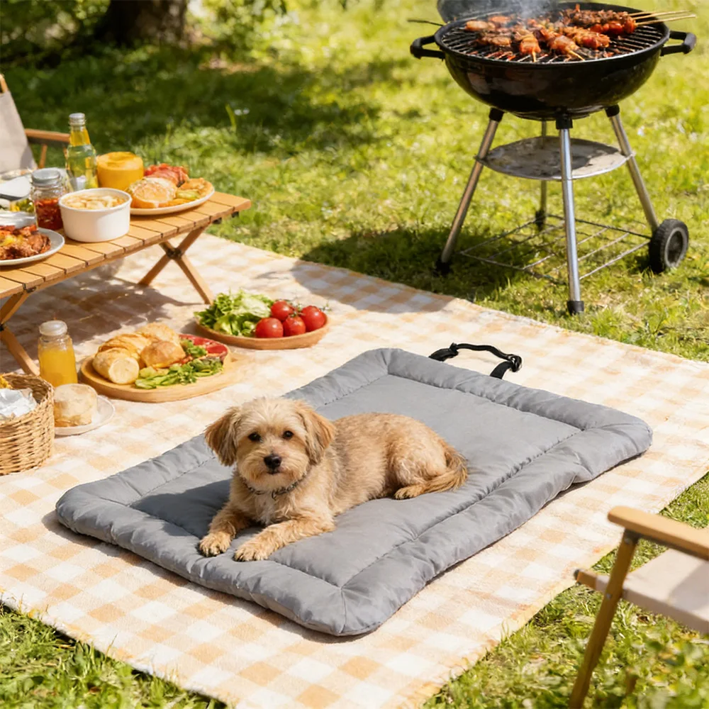 Водонепроницаемая складная уличная кровать для домашних животных, нескользящий портативный коврик для собак для кемпинга и путешествий, моющаяся в машине кровать для домашних животных для собак и кошек
Водонепроницаемая складная уличная кровать для домашних животных, нескользящий портативный коврик для собак для кемпинга и путешествий, моющаяся в машине кровать для домашних животных для собак и кошек