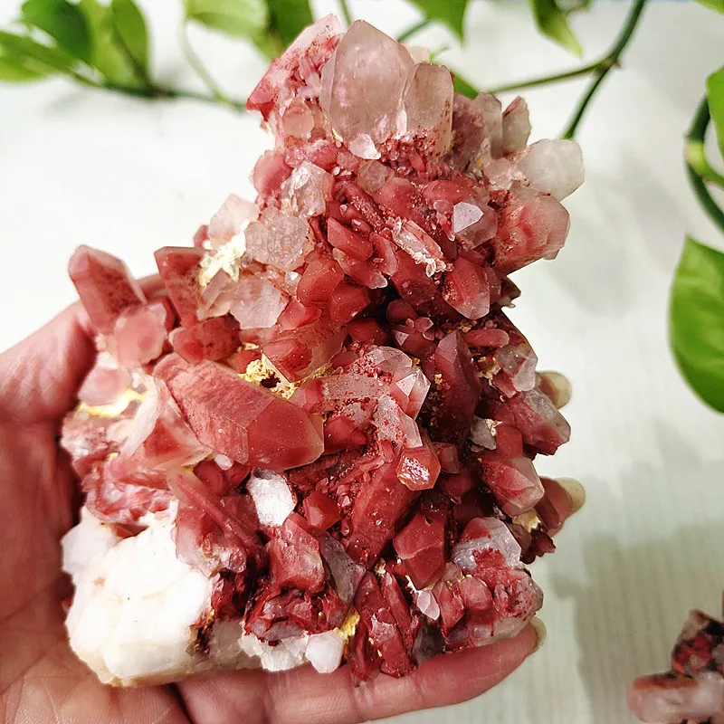Rare Natural Stone Red Quartz Crystal Cluster Mineral Specimen Wrapped Silver Mountai Witchcraft Powerful Healing Room Decor
Rare Natural Stone Red Quartz Crystal Cluster Mineral Specimen Wrapped Silver Mountai Witchcraft Powerful Healing Room Decor