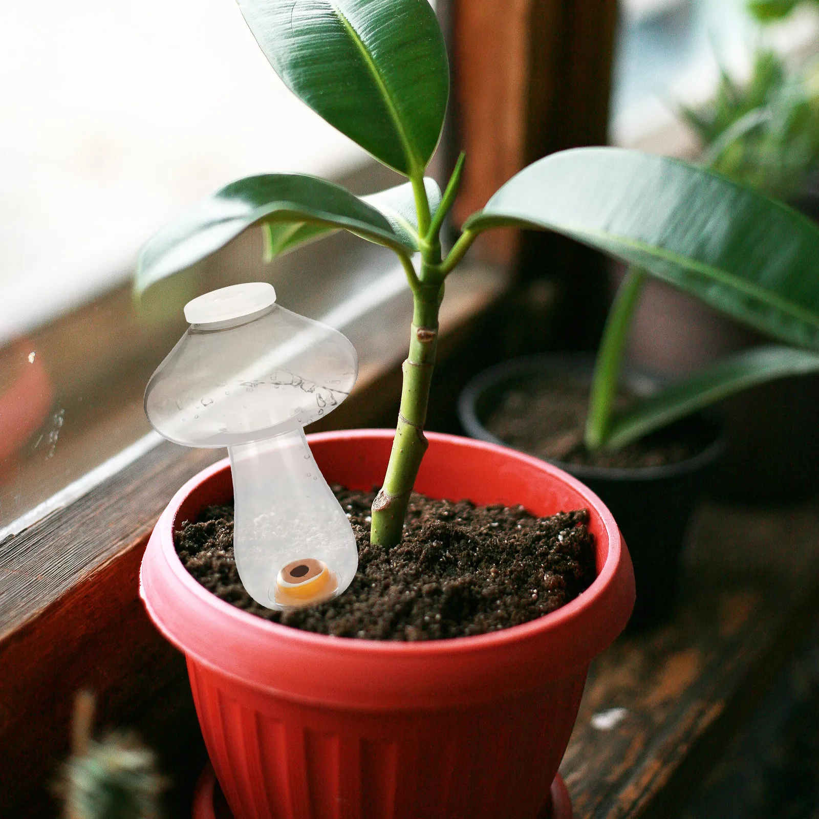 Автоматическое устройство в форме гриба, пластиковый инструмент для цветочных лампочек, капельницы, самоблокирующиеся шарики, шарики для полива растений
Автоматическое устройство в форме гриба, пластиковый инструмент для цветочных лампочек, капельницы, самоблокирующиеся шарики, шарики для полива растений