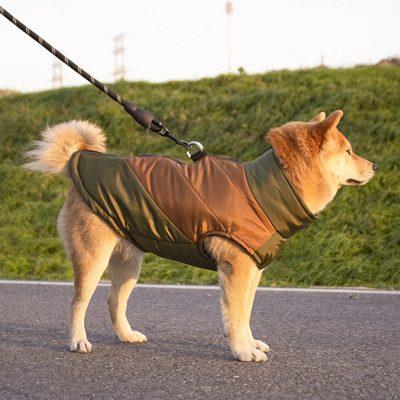 New Warm Dog Coat, Autumn Winter Thickened Cotton Jacket Windproof & Reflective, Pet Clothes for Samoyed
New Warm Dog Coat, Autumn Winter Thickened Cotton Jacket Windproof & Reflective, Pet Clothes for Samoyed