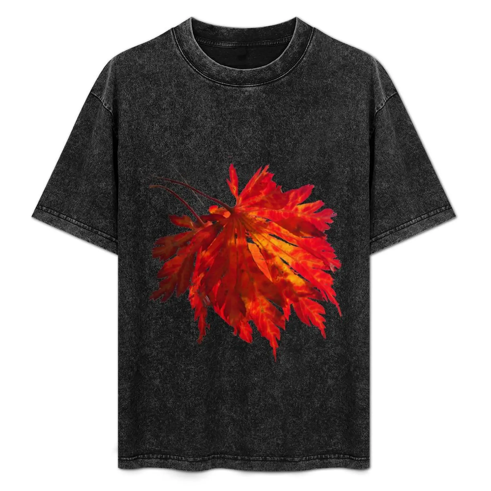 Fire Leaf - Australia T-Shirt Casual Loose Short Sleeve Tee for Men
Fire Leaf - Australia T-Shirt Casual Loose Short Sleeve Tee for Men