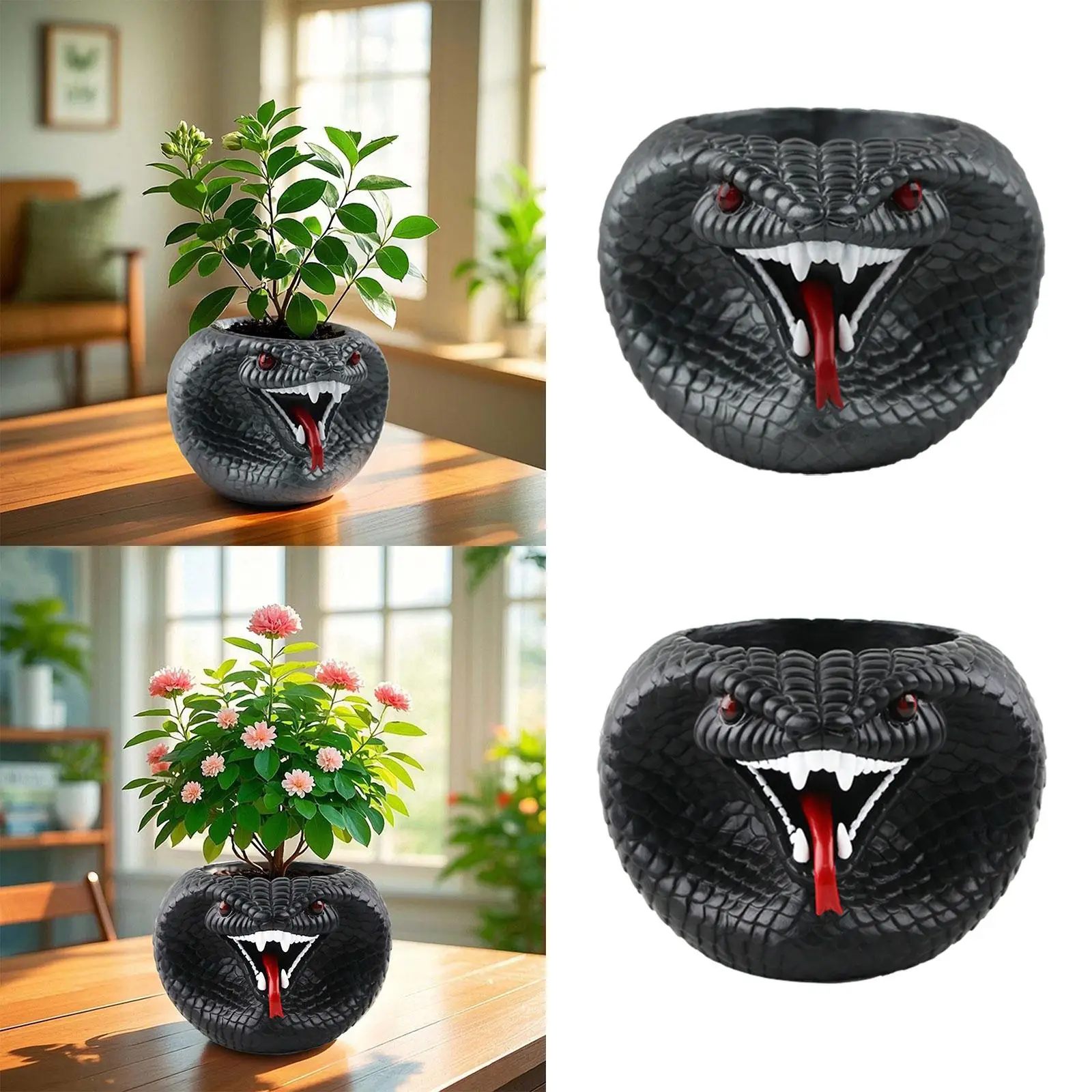 Snake Flowerpot Practical Plant Pot for , Succulents And Flowers in The Living Room, Kitchen Or on The Balcony
Snake Flowerpot Practical Plant Pot for , Succulents And Flowers in The Living Room, Kitchen Or on The Balcony