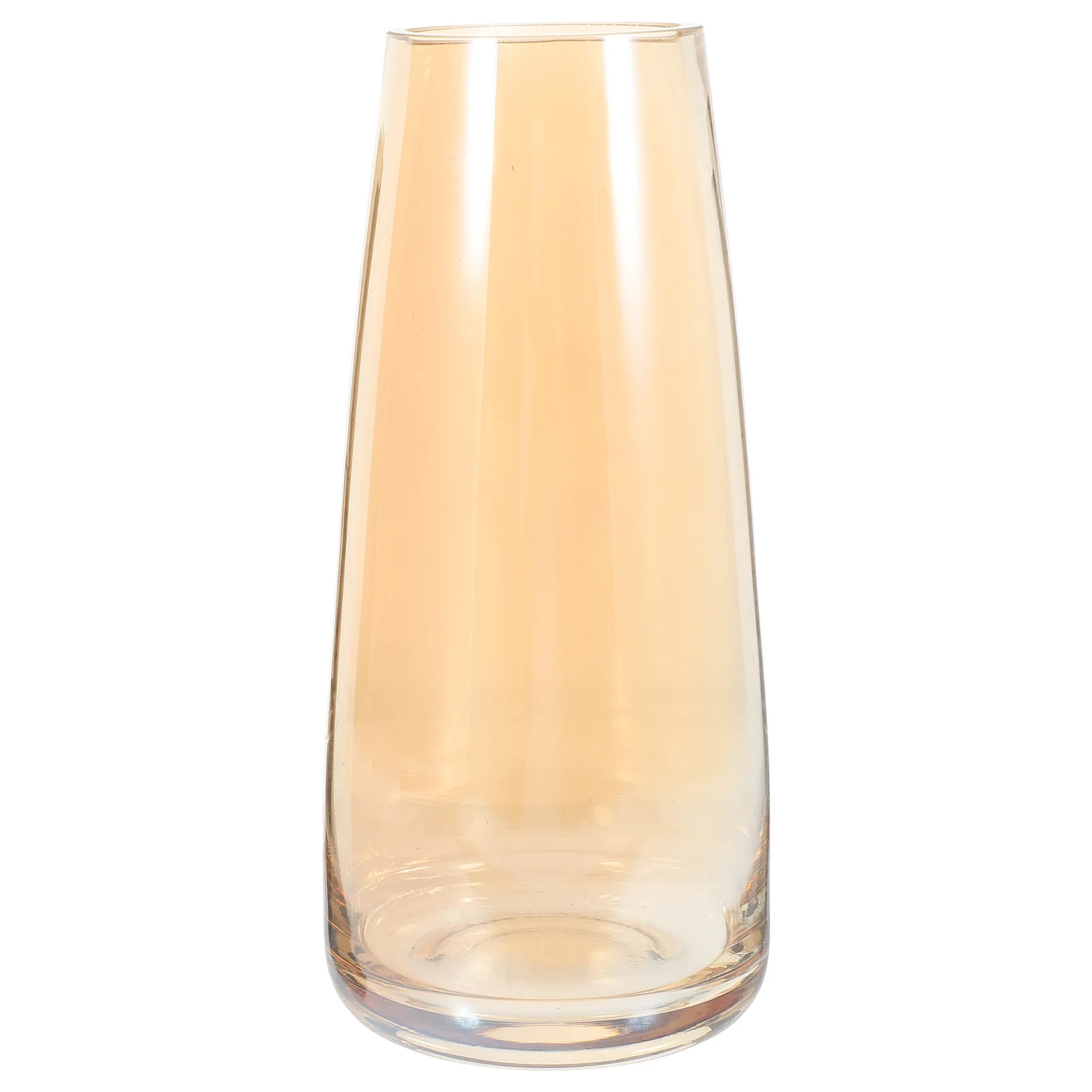 Vases Clear Flowers Desk Desktop Glass Planter Container Decorative Hydroponic Bottle 
Vases Clear Flowers Desk Desktop Glass Planter Container Decorative Hydroponic Bottle