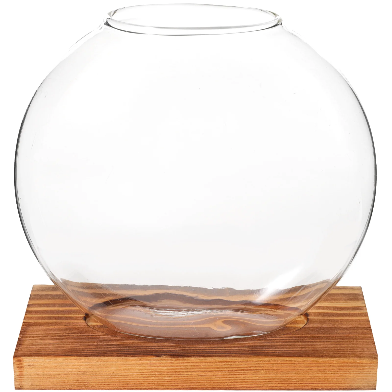 Decorate Hydroponic Dill Ornaments Office Clear Water Bottle Terrarium Wood Vases Desk Decorations
Decorate Hydroponic Dill Ornaments Office Clear Water Bottle Terrarium Wood Vases Desk Decorations