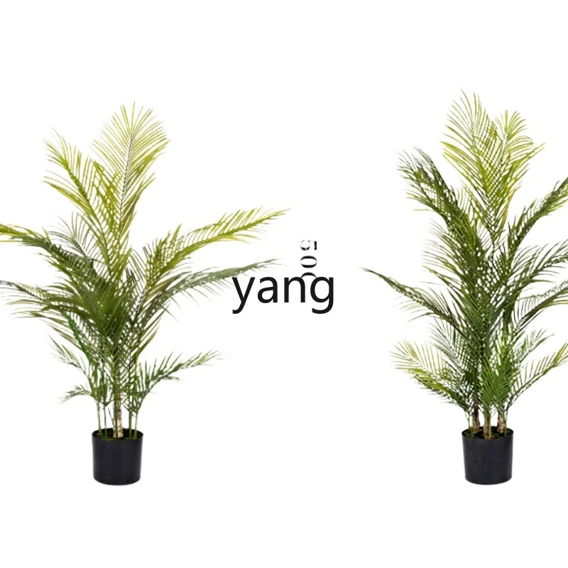 LXL Large High Quality Simulation Green Plant Thorn Sunflower Fake Trees Indoor Landscaping Decoration
LXL Large High Quality Simulation Green Plant Thorn Sunflower Fake Trees Indoor Landscaping Decoration