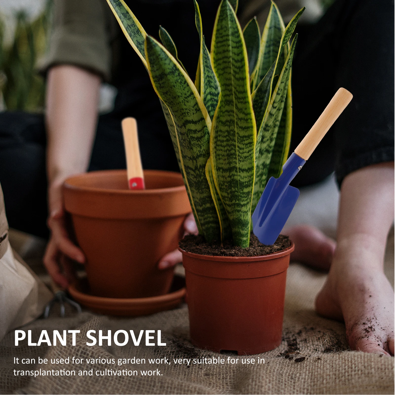 1 set 1 Set Kids Gardening Toddler Outdoor Yard Rake Garden Tools For Kids Trowel Shovel Mini Sand Beach Children Yard Tools
1 set 1 Set Kids Gardening Toddler Outdoor Yard Rake Garden Tools For Kids Trowel Shovel Mini Sand Beach Children Yard Tools