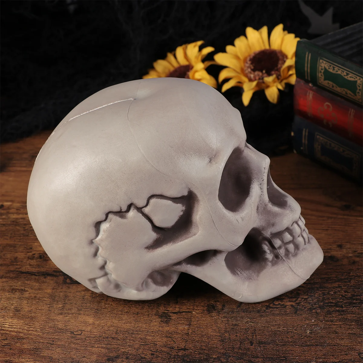 Plastic Halloween Skull Scared Ornament Lightweight Party Prop Artificial Skull Decor for Cosplay Masquerade Ghost House
Plastic Halloween Skull Scared Ornament Lightweight Party Prop Artificial Skull Decor for Cosplay Masquerade Ghost House