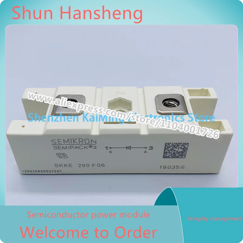 Power Module SKKE290F06 SKKE600F12 SKKE400F12 SKKE330F12 SKKE310F12 SKKE120F17 SKKE301F12
Power Module SKKE290F06 SKKE600F12 SKKE400F12 SKKE330F12 SKKE310F12 SKKE120F17 SKKE301F12