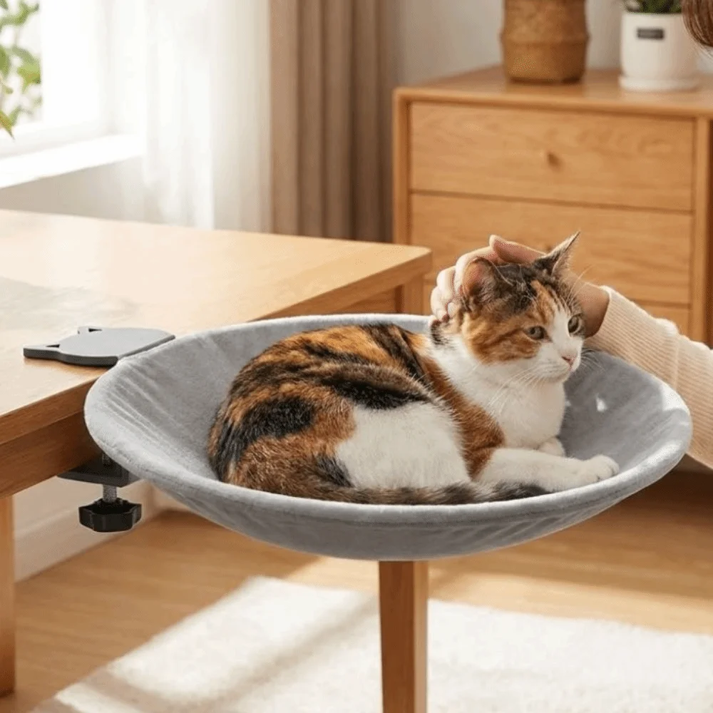 Breathable Cat Desk Bed Removable Cover Non-Slip Clamp Kitten Table Bed Strong Load-bearing Comfortable Pet Hanging Nest
Breathable Cat Desk Bed Removable Cover Non-Slip Clamp Kitten Table Bed Strong Load-bearing Comfortable Pet Hanging Nest