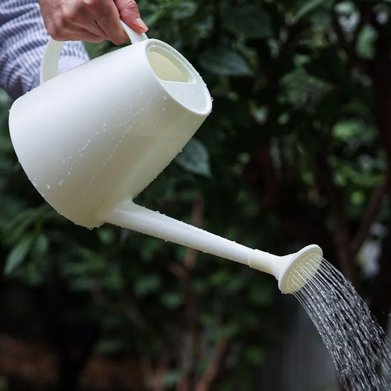 2025 New Style Watering Can for Indoor House Plants Long Spout with Detachable Spray Head Watering Cans for Plant Garden Flower
2025 New Style Watering Can for Indoor House Plants Long Spout with Detachable Spray Head Watering Cans for Plant Garden Flower