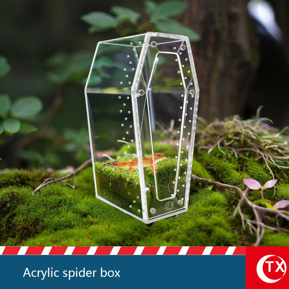 Magnetic Acrylic Spider Enclosure | Transparent Habitat Box for Jumping Spiders & Insects | Safe, Gentle & Easy-Access Design
Magnetic Acrylic Spider Enclosure | Transparent Habitat Box for Jumping Spiders & Insects | Safe, Gentle & Easy-Access Design