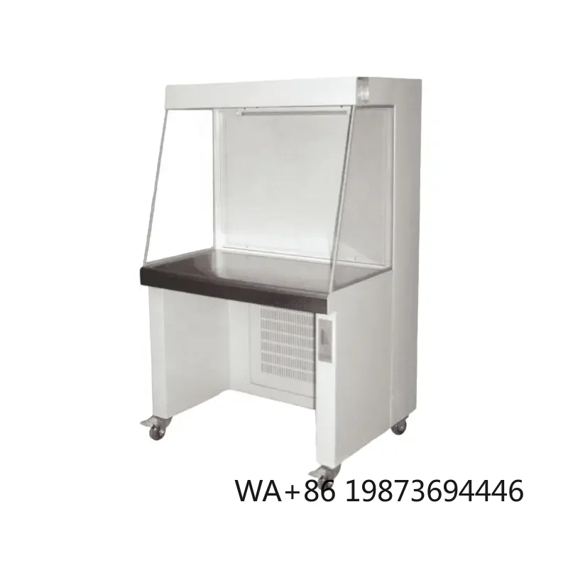 Single-Sided Laboratory Clean Bench, Professional Lab Analysis Purification Equipment
Single-Sided Laboratory Clean Bench, Professional Lab Analysis Purification Equipment