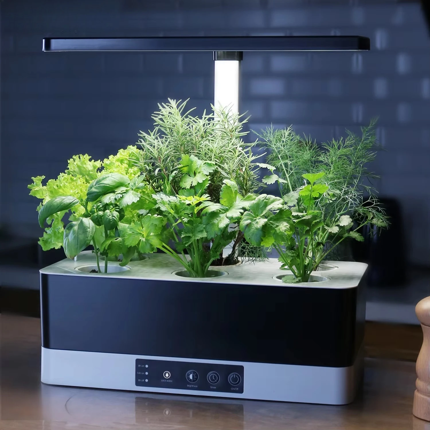 OEM Customized Smart Garden Indoor Herb Garden Planters Hydroponic Growing Systems Kitchen Smart Planter Pot
OEM Customized Smart Garden Indoor Herb Garden Planters Hydroponic Growing Systems Kitchen Smart Planter Pot