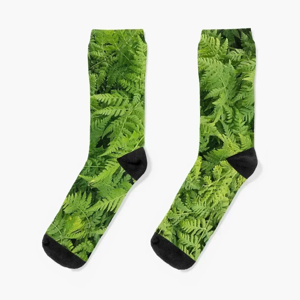 Beautiful Green Fern Socks christmas stocking FASHION sports and leisure kids Luxury Woman Socks Men's
Beautiful Green Fern Socks christmas stocking FASHION sports and leisure kids Luxury Woman Socks Men's