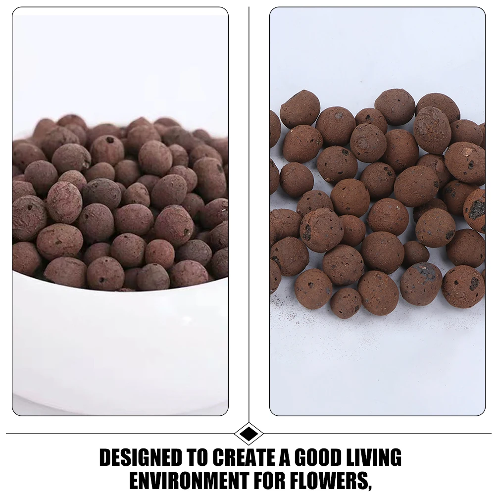 Breathable Clay Stones Decorative Rocks for Plants Cactus Planter Base Potting Biofertilizer Gardening Supplies
Breathable Clay Stones Decorative Rocks for Plants Cactus Planter Base Potting Biofertilizer Gardening Supplies