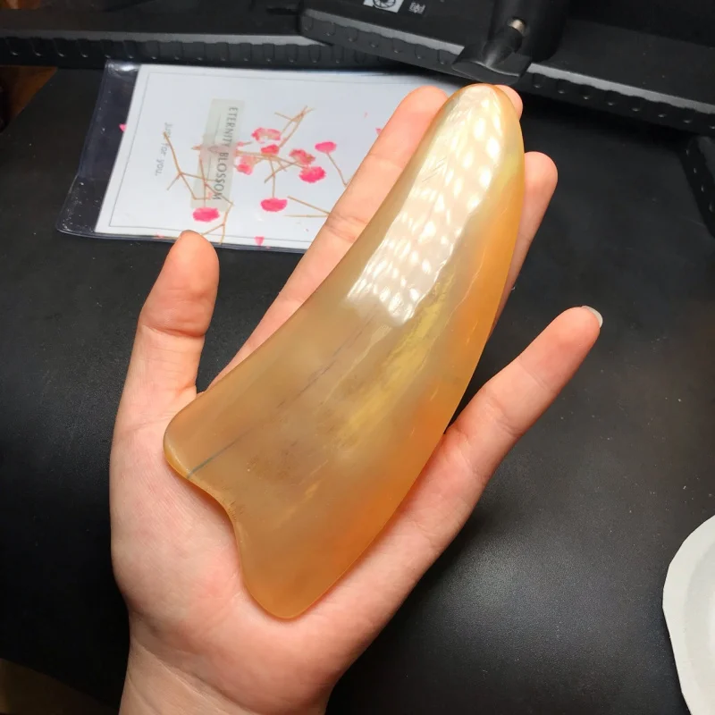 Premium Ox Horn Gua Sha Board, Delicate and Soft, 15cm*5.8cm*1.0cm
Premium Ox Horn Gua Sha Board, Delicate and Soft, 15cm*5.8cm*1.0cm