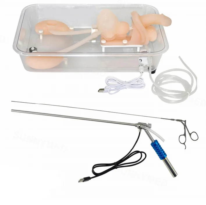 High Quality Ureteroscopic Training Simulator Training Urinary Endoscopy Ureteroscopy Simulation
High Quality Ureteroscopic Training Simulator Training Urinary Endoscopy Ureteroscopy Simulation
