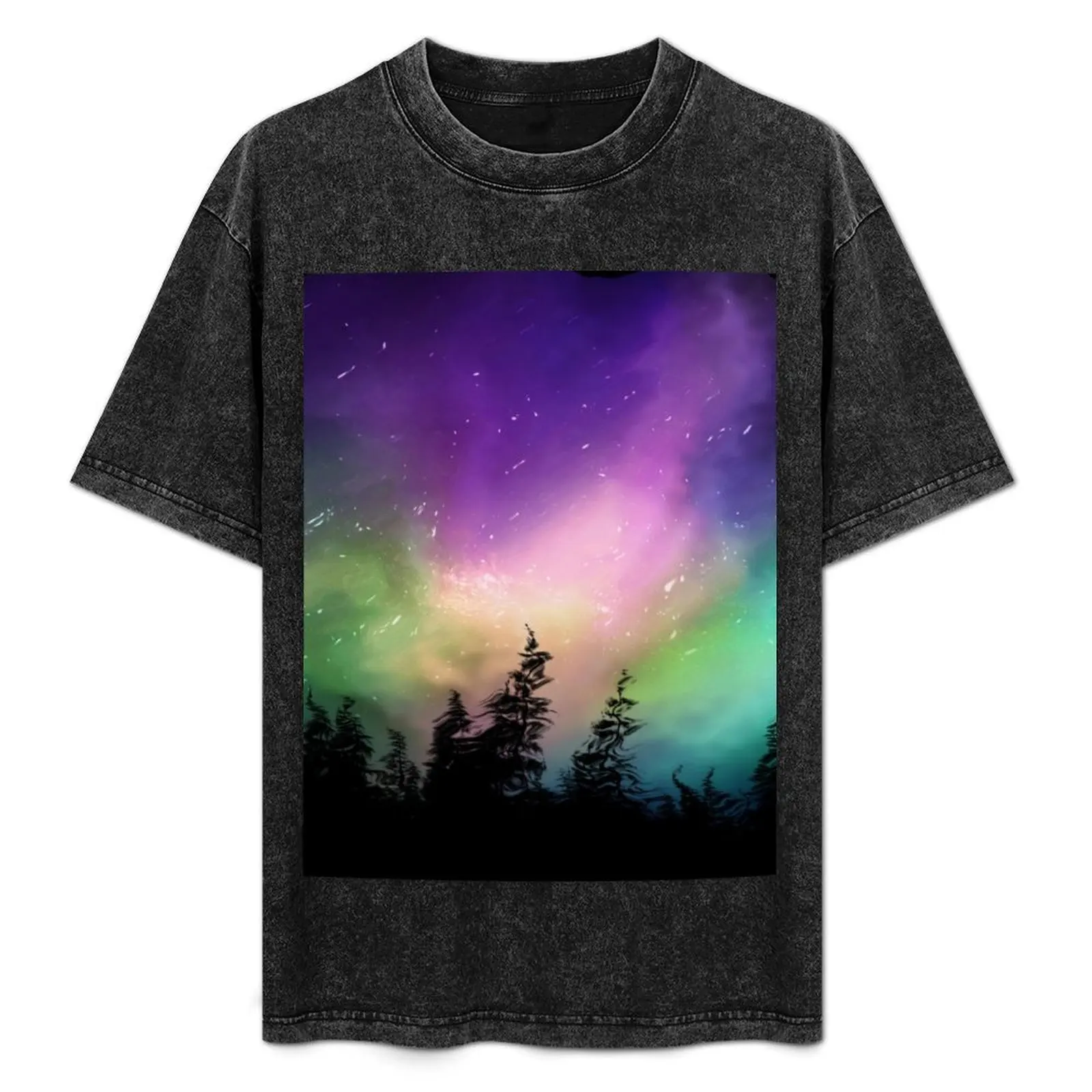 Aurora Borealis Night Sky T-Shirt Active Wear Sports T-Shirt for Men
Aurora Borealis Night Sky T-Shirt Active Wear Sports T-Shirt for Men