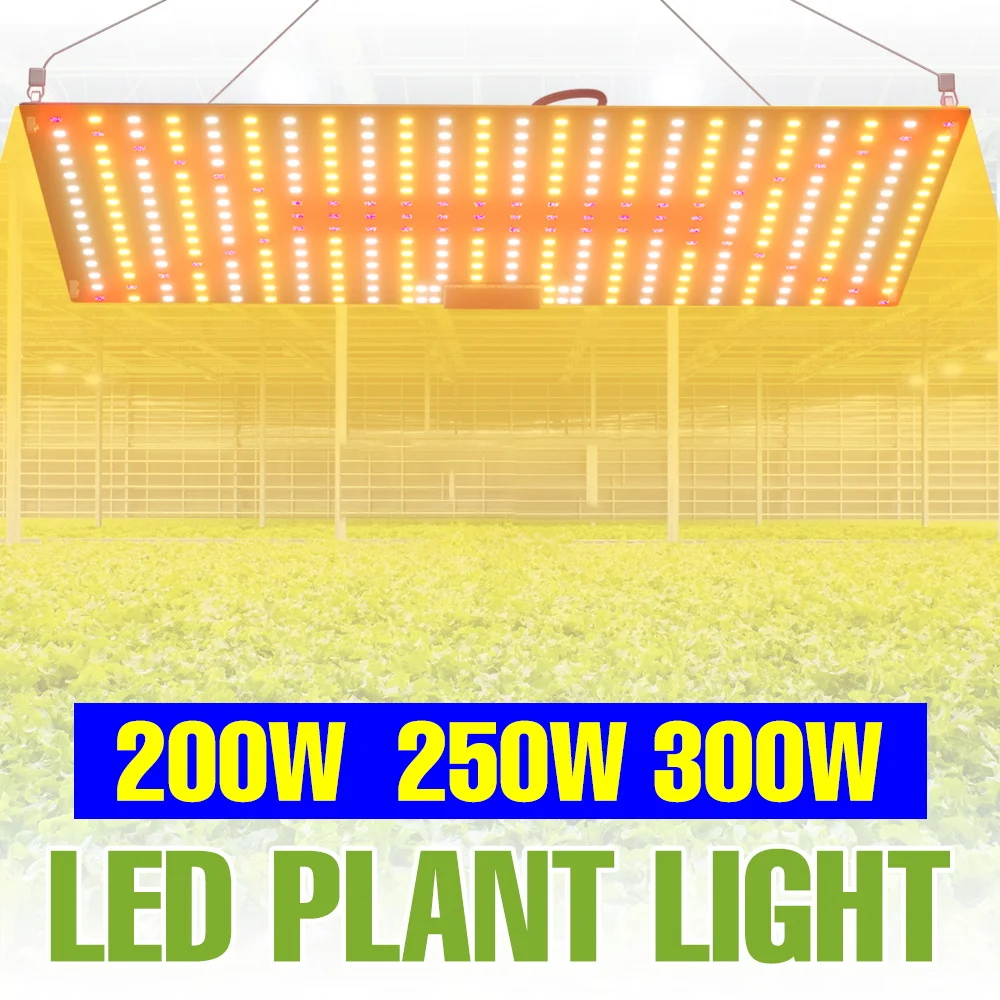 Светодиодная лампа для растений 300 Вт, полный спектр, Quantum Board, для теплиц, гидропоники, овощей, суккулентов, выращивания, с вилкой US/EU
Светодиодная лампа для растений 300 Вт, полный спектр, Quantum Board, для теплиц, гидропоники, овощей, суккулентов, выращивания, с вилкой US/EU