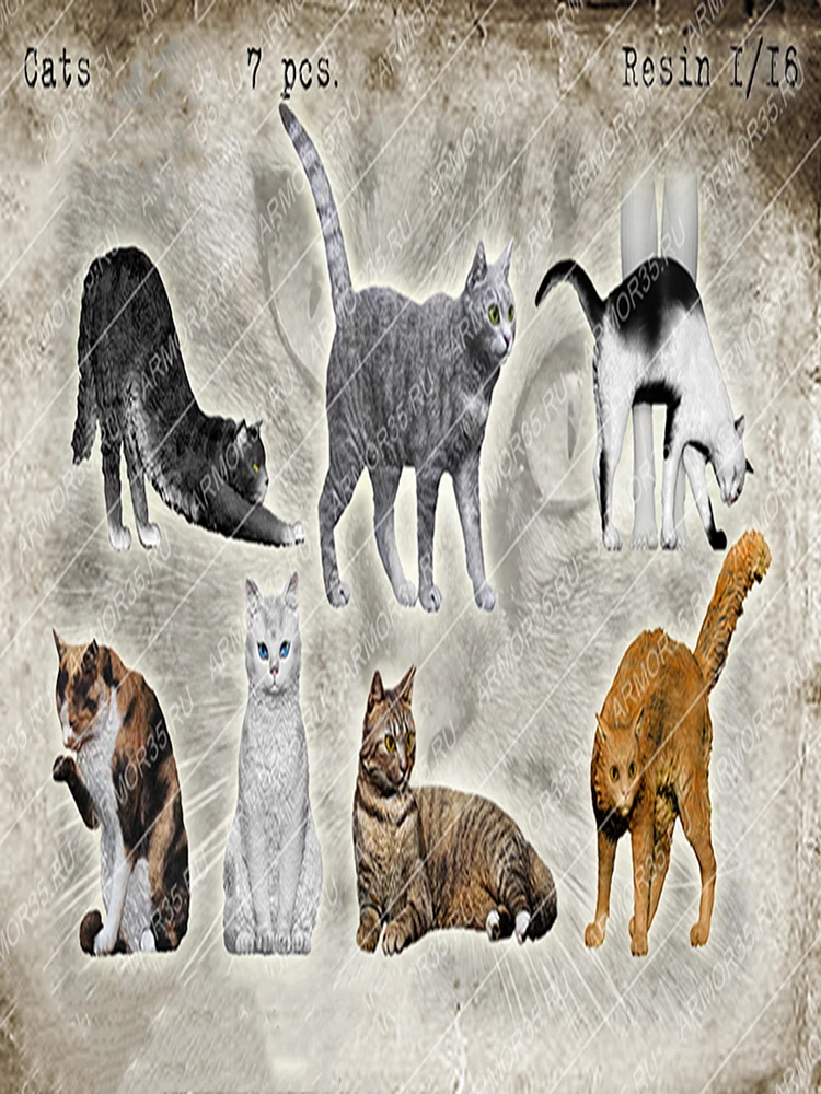 Unpainted Kit 1/16 modern cats include 7 Lovely cat figure Historical Resin kit miniature model
Unpainted Kit 1/16 modern cats include 7 Lovely cat figure Historical Resin kit miniature model