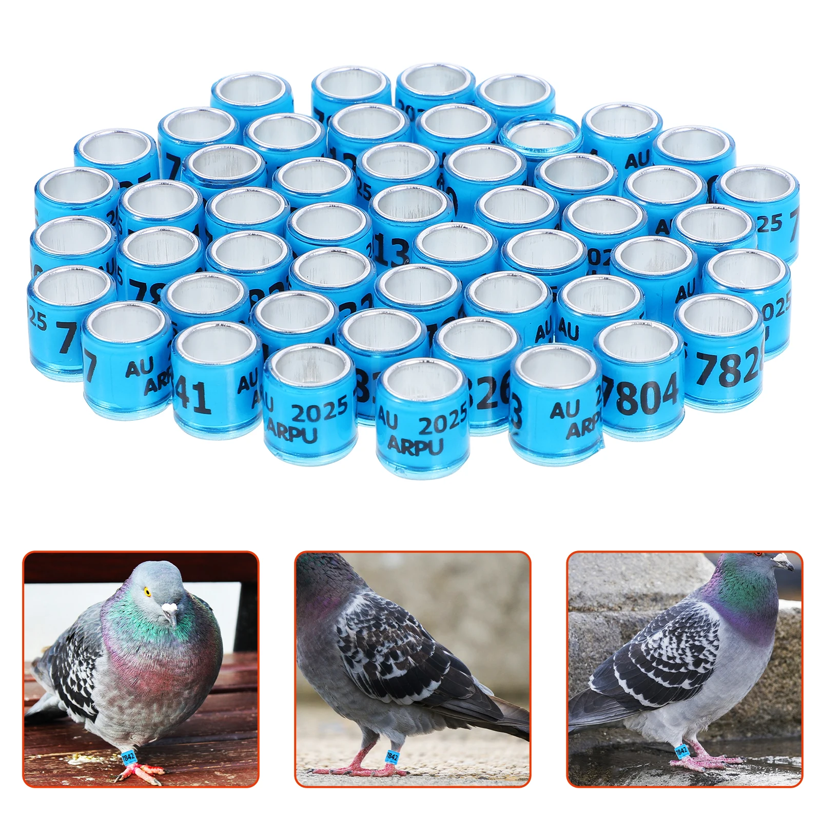 50pcs Pigeon Leg Bands Aluminum Plastic Numbered Foot Rings For Racing Pigeons Foreign Pigeon Identification Fade Resistant
50pcs Pigeon Leg Bands Aluminum Plastic Numbered Foot Rings For Racing Pigeons Foreign Pigeon Identification Fade Resistant
