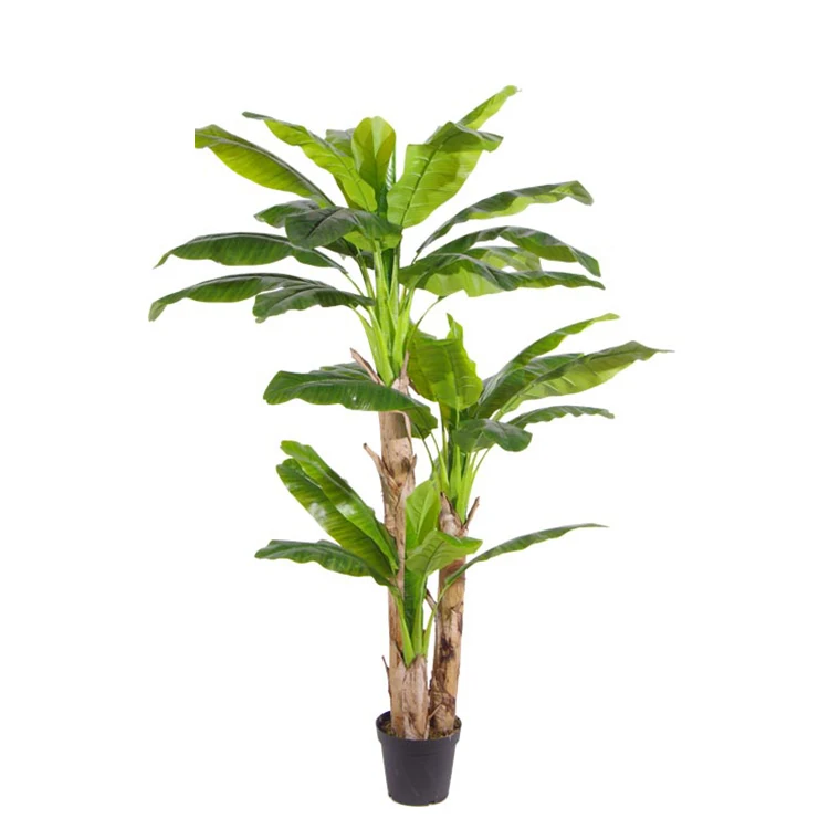 2.2m Banana Leaf Plant Banana Artificial Plant Banana Leaf
2.2m Banana Leaf Plant Banana Artificial Plant Banana Leaf