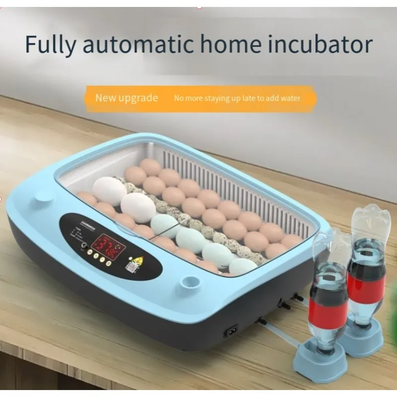 Automatic Water Adding Incubator Intelligent Mini Home Egg Hatcher for Chicken Duck Goose Pigeon Eggs Breeding Equipment
Automatic Water Adding Incubator Intelligent Mini Home Egg Hatcher for Chicken Duck Goose Pigeon Eggs Breeding Equipment