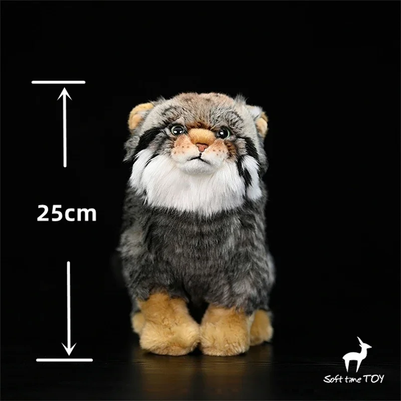 Pallas's Cat Высококачественная степная кошка, милые плюшевые игрушки Manul, реалистичные животные, имитация мягкой куклы, кавайные игрушки, подарки для детей
Pallas's Cat Высококачественная степная кошка, милые плюшевые игрушки Manul, реалистичные животные, имитация мягкой куклы, кавайные игрушки, подарки для детей