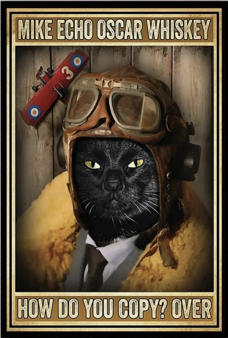 CUTE CAT Before Coffee After Poster, Cat Poster Vintage Tin Metal Sign Bar Club Cafe Garage Wall Decor Farm Decor Art 20x30CM-A6
CUTE CAT Before Coffee After Poster, Cat Poster Vintage Tin Metal Sign Bar Club Cafe Garage Wall Decor Farm Decor Art 20x30CM-A6