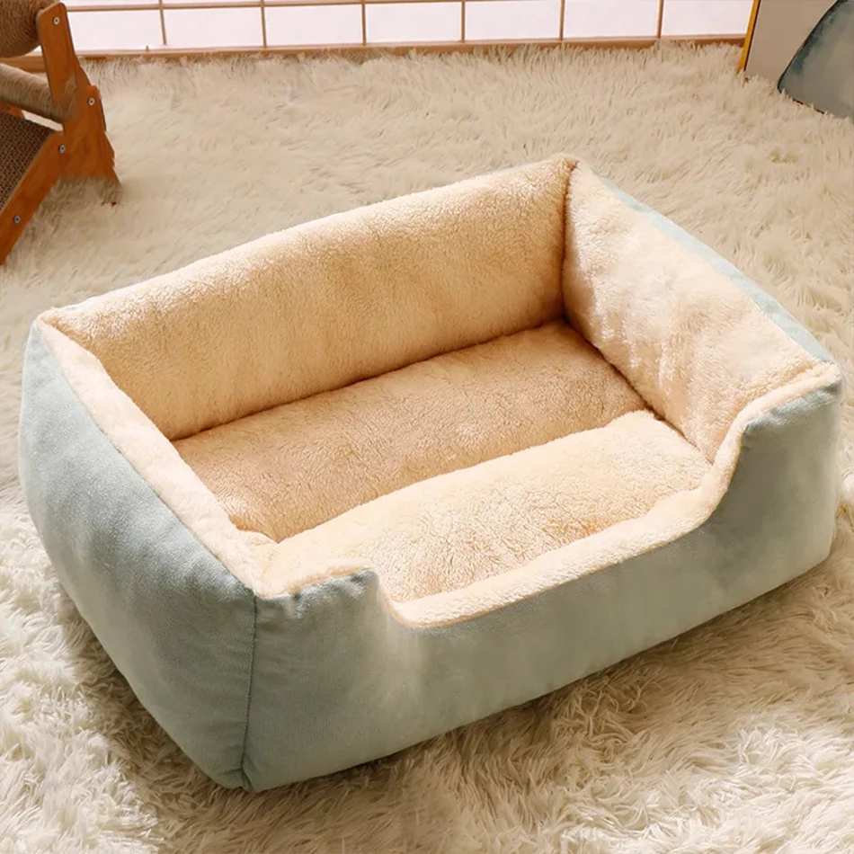 Bed for Cats Pet Products Cushions Kitten Goods Accessories Dog All Houses Supplies Things Accessory Habitats Basket House Beds
Bed for Cats Pet Products Cushions Kitten Goods Accessories Dog All Houses Supplies Things Accessory Habitats Basket House Beds