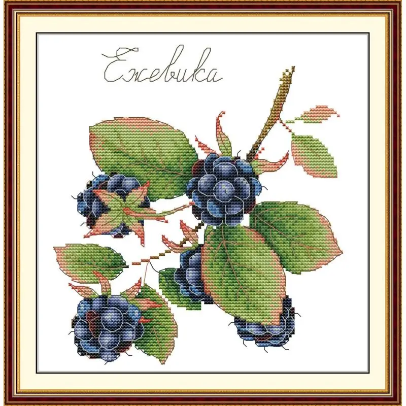 Maydear Full Cross Stitch Kit,11CT/14CT/16CT/9CT Aida Fabric,DMC Threads Sewing Pattern Embroidery Set-Fruit Series 4
Maydear Full Cross Stitch Kit,11CT/14CT/16CT/9CT Aida Fabric,DMC Threads Sewing Pattern Embroidery Set-Fruit Series 4