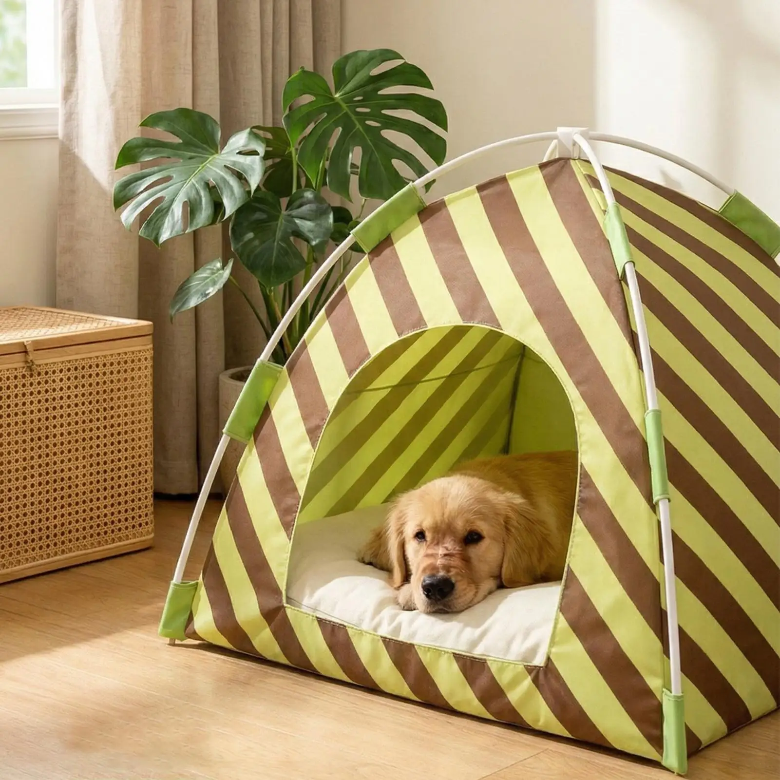 Enclosed Cat Bed Covered Nest For Kitten Soft Kitten Tent Bed For Indoor Outdoor Patio Garden Living Room Bedroom Balcony
Enclosed Cat Bed Covered Nest For Kitten Soft Kitten Tent Bed For Indoor Outdoor Patio Garden Living Room Bedroom Balcony