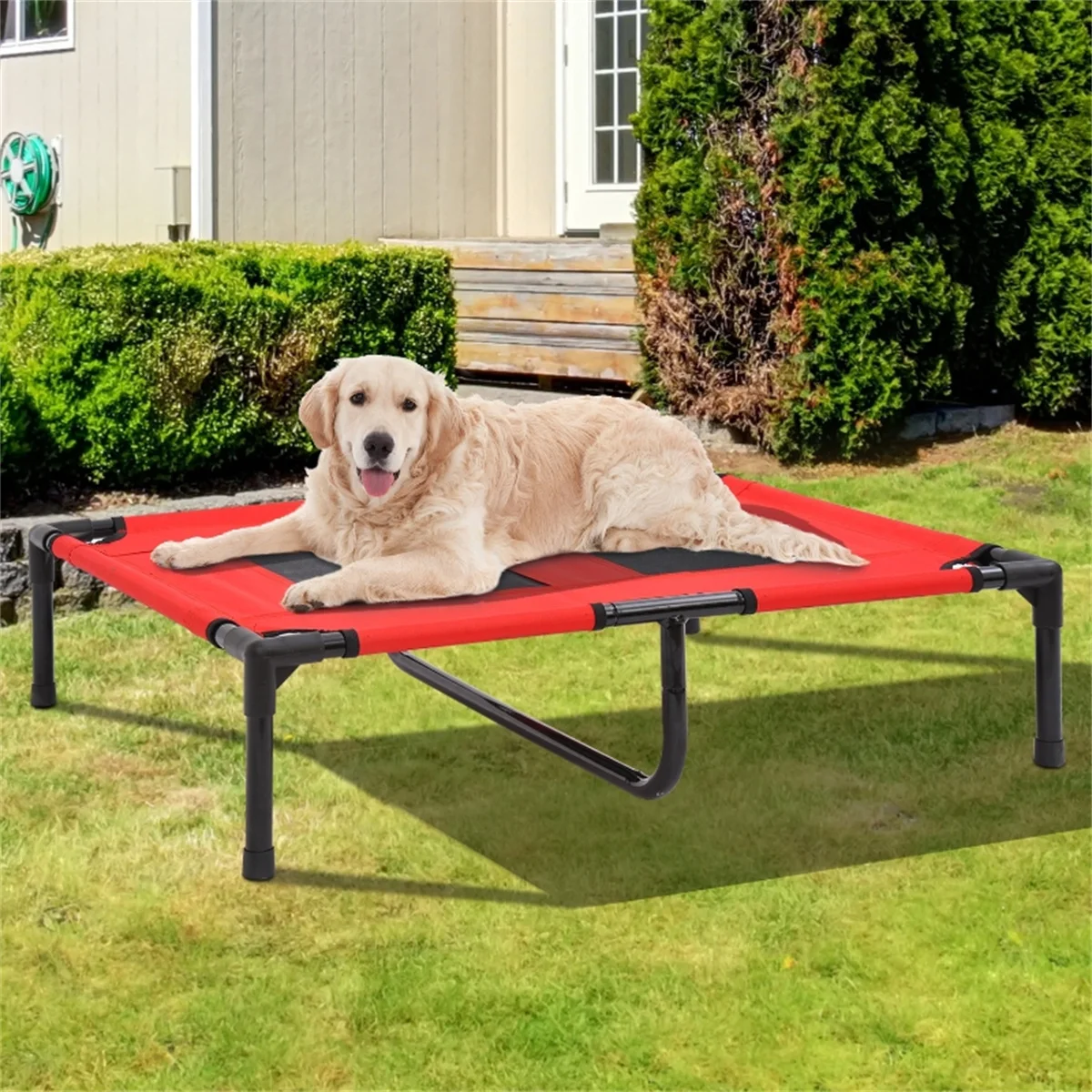 Durable Pet Bed with Elevated Steel Frame and Breathable Mesh Design 
Durable Pet Bed with Elevated Steel Frame and Breathable Mesh Design
