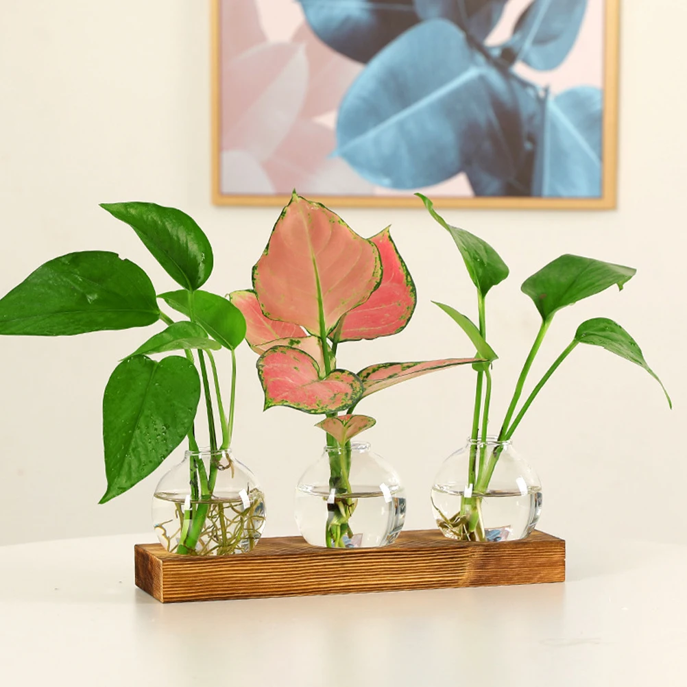 1 Set Green Plant Pots Glass Terrarium For Hydroponic Plants Desktop Decor Vase Water Planting Container Indoor Planter Gift
1 Set Green Plant Pots Glass Terrarium For Hydroponic Plants Desktop Decor Vase Water Planting Container Indoor Planter Gift