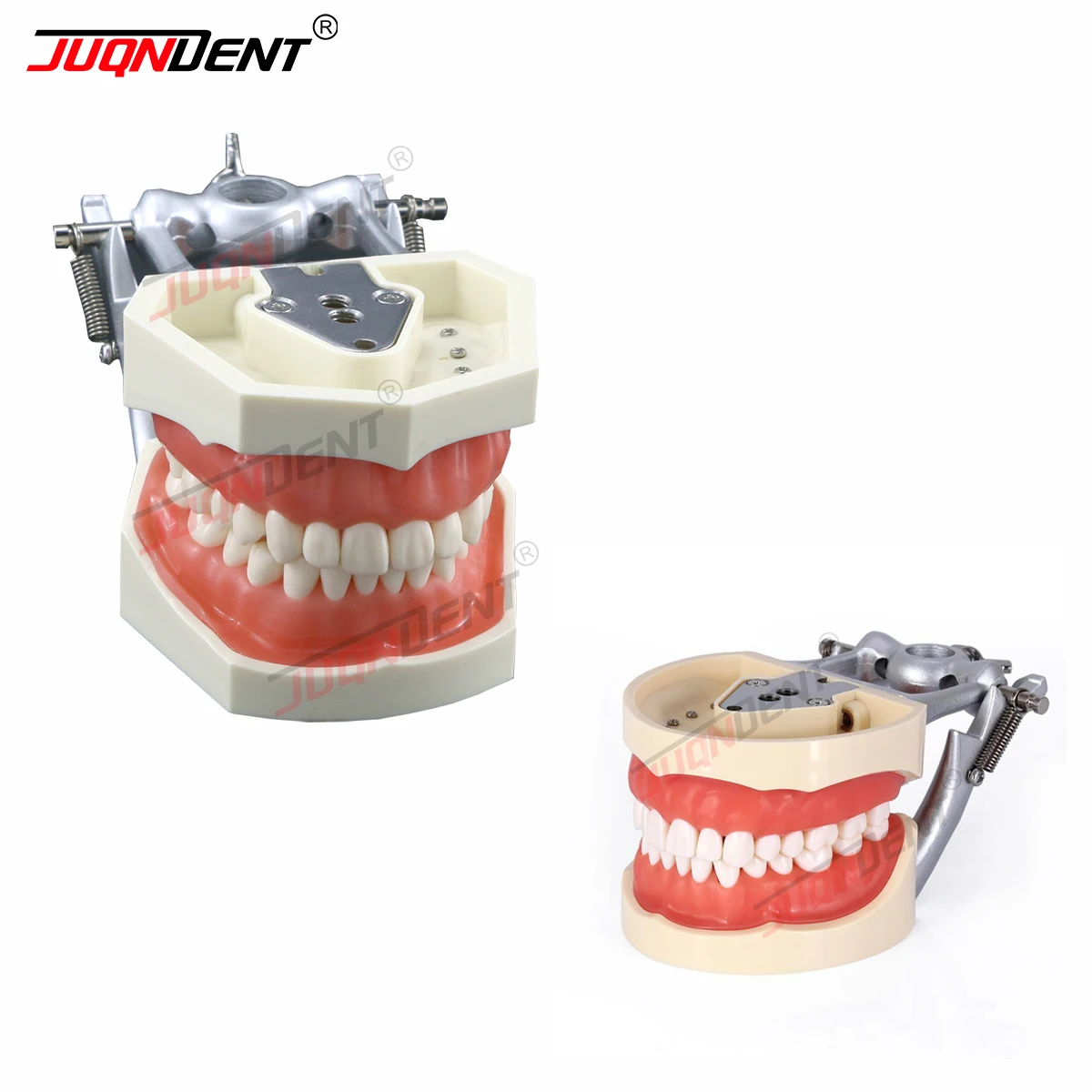 Dental Teeth Model Teeth Dentistry Model Removable Resin Dental Model 28pcs And 32 Pcs Teeth Fit Kilgore NISSIN 200/500 Type
Dental Teeth Model Teeth Dentistry Model Removable Resin Dental Model 28pcs And 32 Pcs Teeth Fit Kilgore NISSIN 200/500 Type