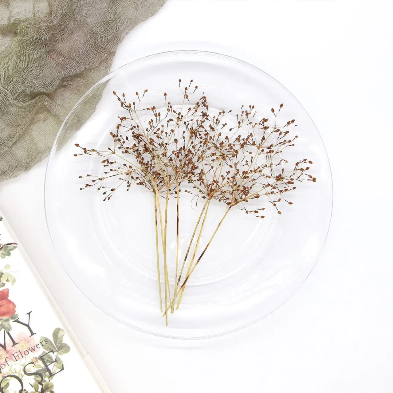 1Set Pressed Dried Fimbristylis Flower Herbarium For Resin Epoxy Jewelry Card Bookmark Frame Phone Case Makeup Lamp
1Set Pressed Dried Fimbristylis Flower Herbarium For Resin Epoxy Jewelry Card Bookmark Frame Phone Case Makeup Lamp