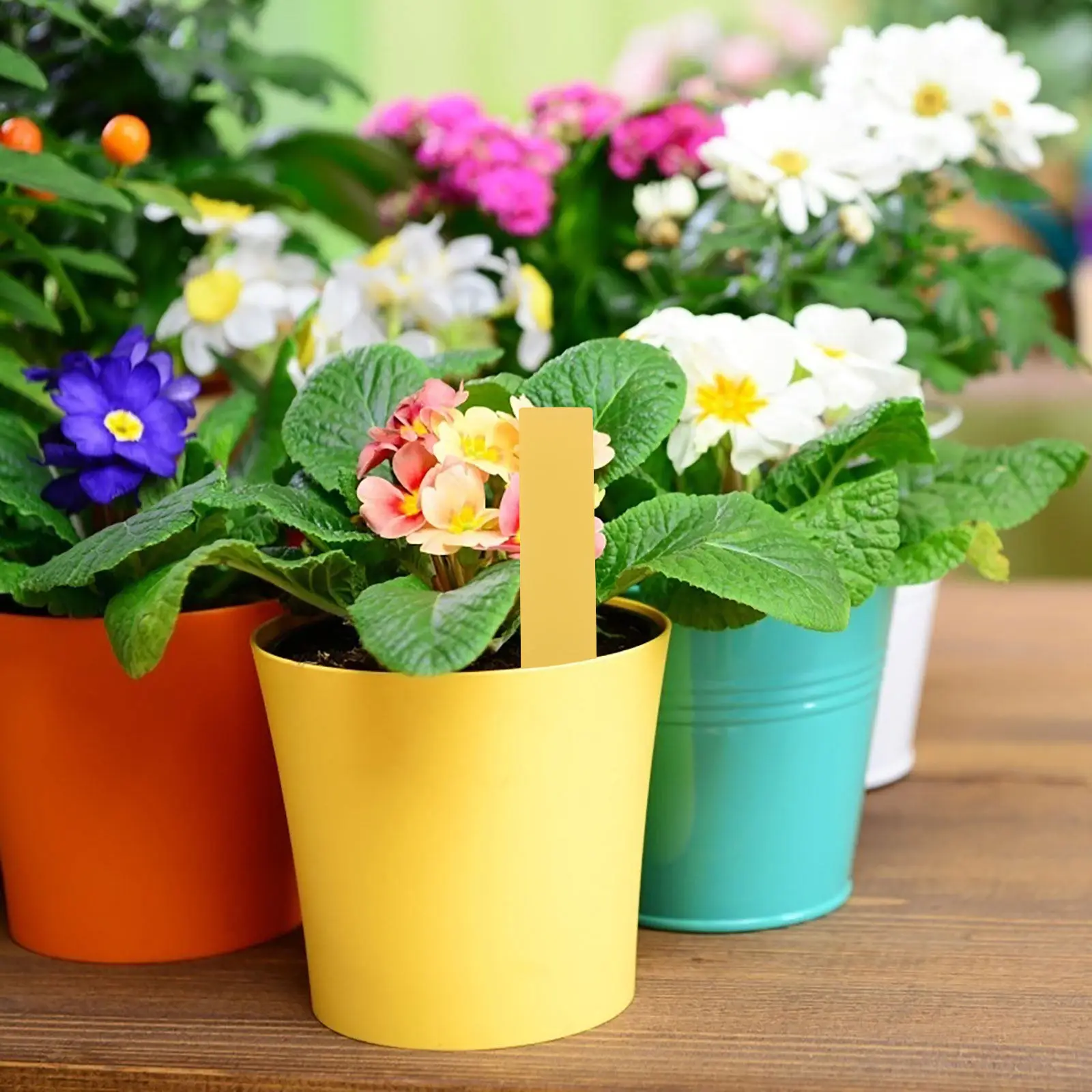 1000Pcs Garden Plant Markers Plastic Tags Writable Waterproof Nursery Labels Indoor Outdoor Planting 10x2cm Reusable Garden Tags
1000Pcs Garden Plant Markers Plastic Tags Writable Waterproof Nursery Labels Indoor Outdoor Planting 10x2cm Reusable Garden Tags