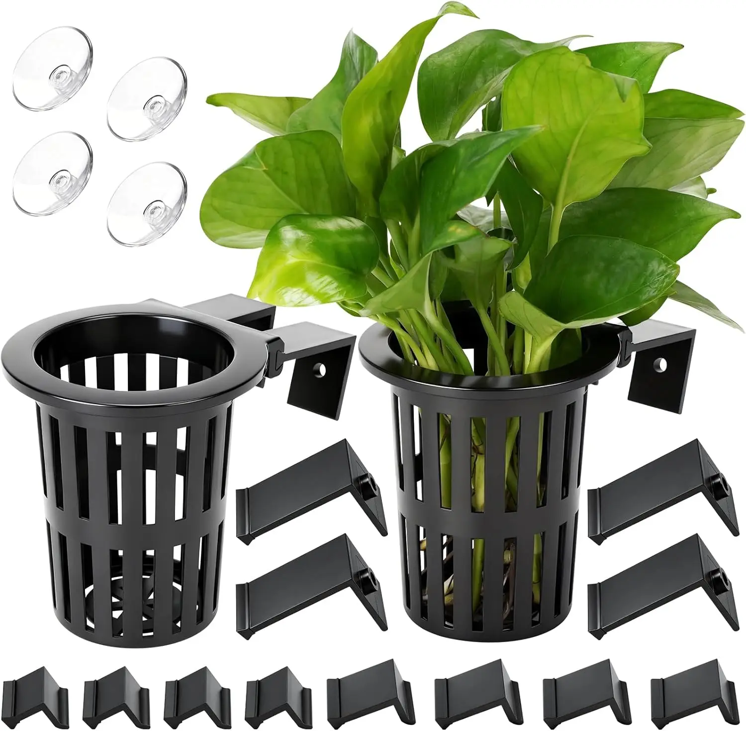2025 Upgraded Large Aquarium Plant Holder with 1.57-inch Extension Hooks and Suction Cups for Fish Tank Aquaponic Plant Cultivation and Aquascape Decorations (2 PCS)
2025 Upgraded Large Aquarium Plant Holder with 1.57-inch Extension Hooks and Suction Cups for Fish Tank Aquaponic Plant Cultivation and Aquascape Decorations (2 PCS)