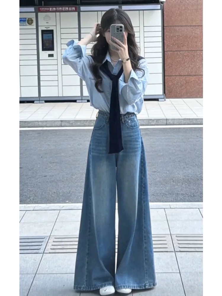 Light Blue Long Sleeve Shirt And Wide Leg Pants Casual Loose Fit Two Piece Set Spring Summer Fashion Women's Clothing
Light Blue Long Sleeve Shirt And Wide Leg Pants Casual Loose Fit Two Piece Set Spring Summer Fashion Women's Clothing