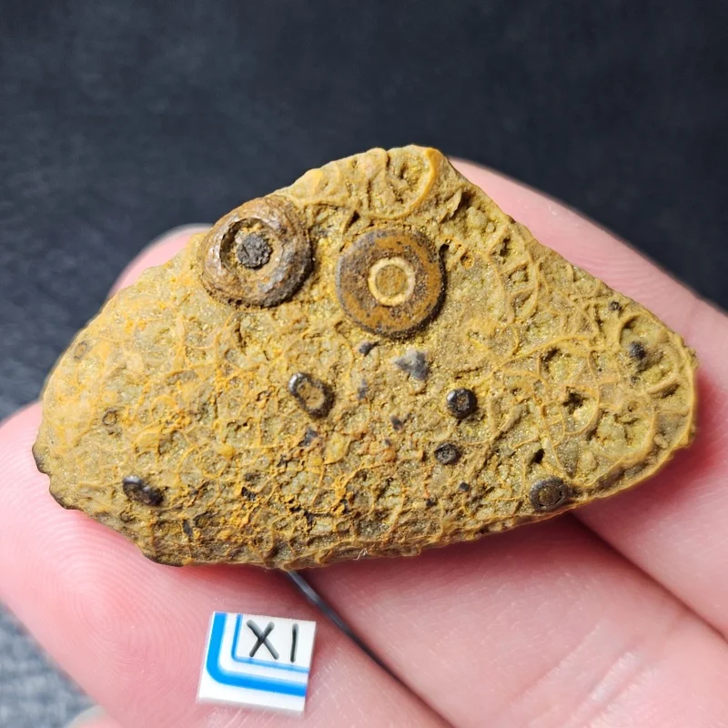 Natural Inner Mongolia eye stone mineral specimen, teaching supplies, home garden decoration
Natural Inner Mongolia eye stone mineral specimen, teaching supplies, home garden decoration