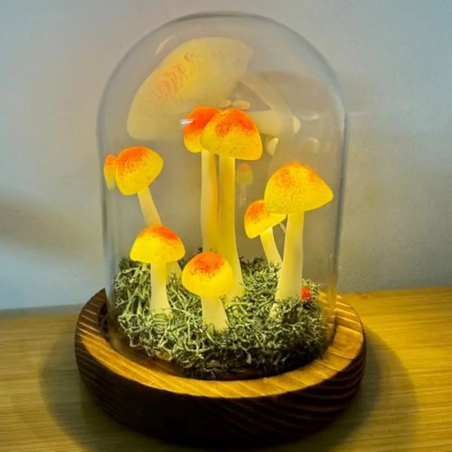 Mushroom Lamp, Decor LED Light in Glass Dome with Base for Home Bedroom Decor Birthday with Birthday Valentines Anniversaries G
Mushroom Lamp, Decor LED Light in Glass Dome with Base for Home Bedroom Decor Birthday with Birthday Valentines Anniversaries G