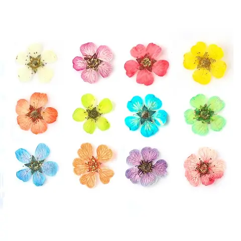 Dried Flowers Nail Art Decorations Irregular Dry Floral Bloom Stickers DIY Crafts Manicure Charms Designs For Nails Accessories