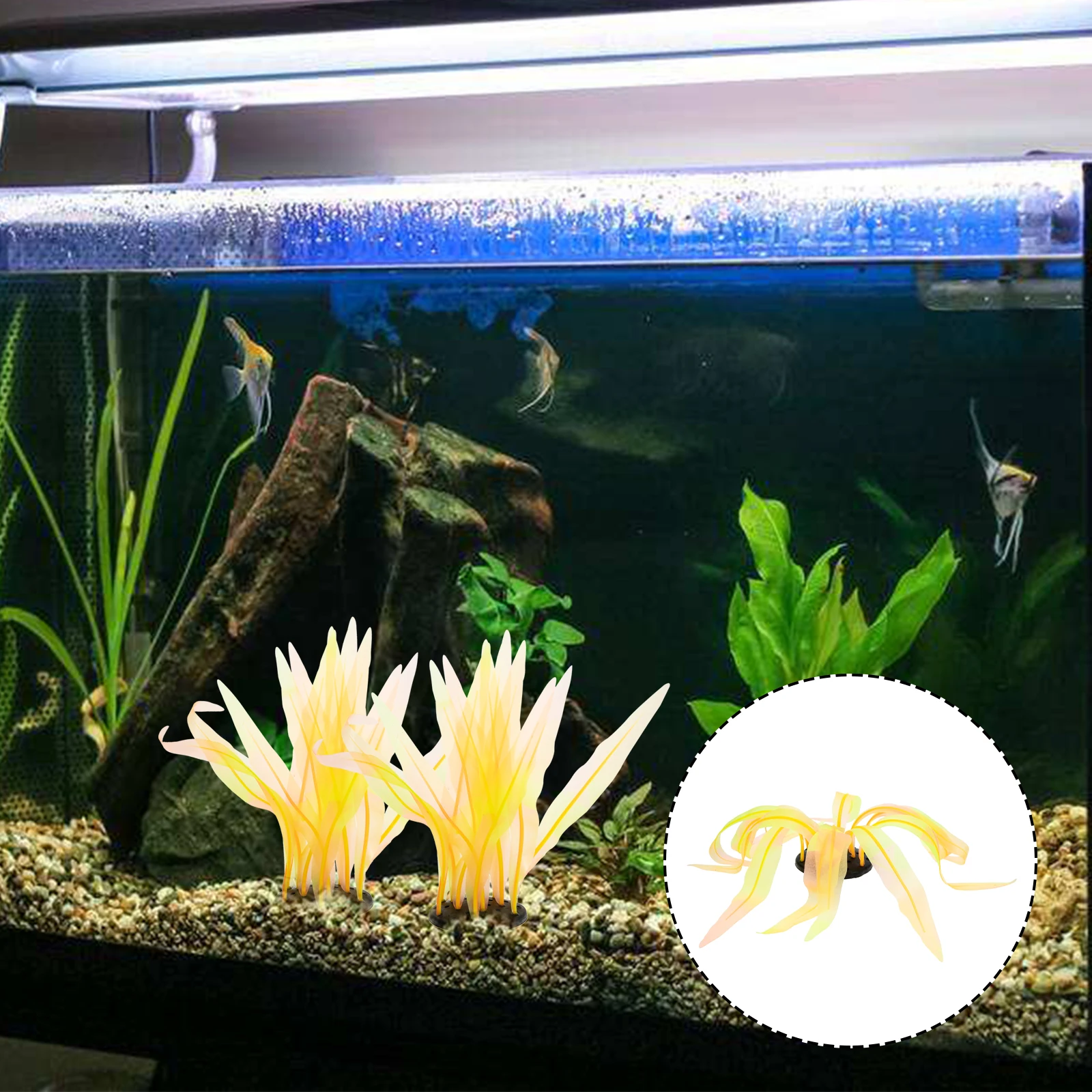 Artificial Coral Decoration for Fish Tank ange Small Size Realistic Silicone Coral Aquarium Accessories Enhance Visual for Fish
Artificial Coral Decoration for Fish Tank ange Small Size Realistic Silicone Coral Aquarium Accessories Enhance Visual for Fish