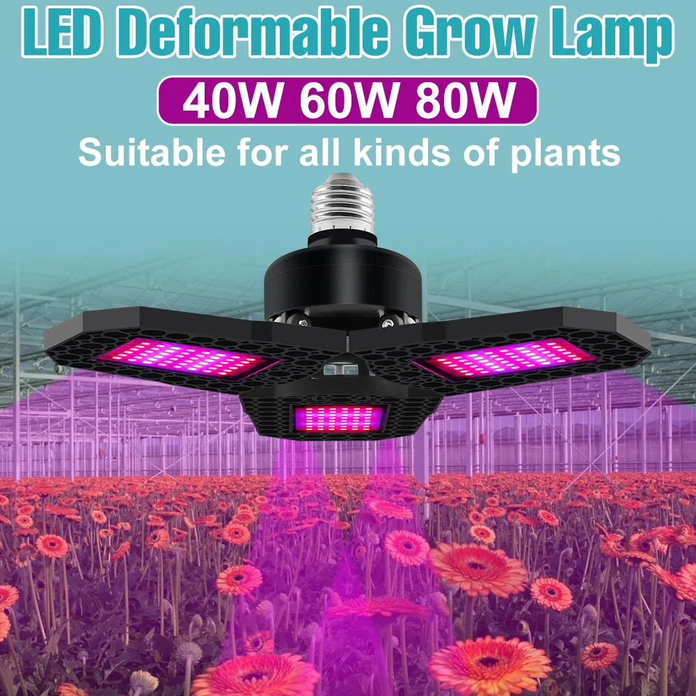 80W Full Spectrum Grow Bulb Foldable LED Plant Fill Lamp E27/E26 Greenhouse Tent Seedings Fruit Vegs Flower Cultivation Lighting
80W Full Spectrum Grow Bulb Foldable LED Plant Fill Lamp E27/E26 Greenhouse Tent Seedings Fruit Vegs Flower Cultivation Lighting