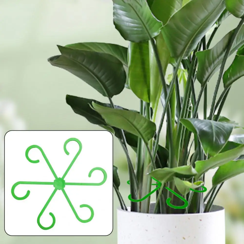 Plant Stem Support Plant Stem Holders Climbers Essential Accessories for Gardening Enthusiasts Plant Lovers Flower Stem Holder
Plant Stem Support Plant Stem Holders Climbers Essential Accessories for Gardening Enthusiasts Plant Lovers Flower Stem Holder