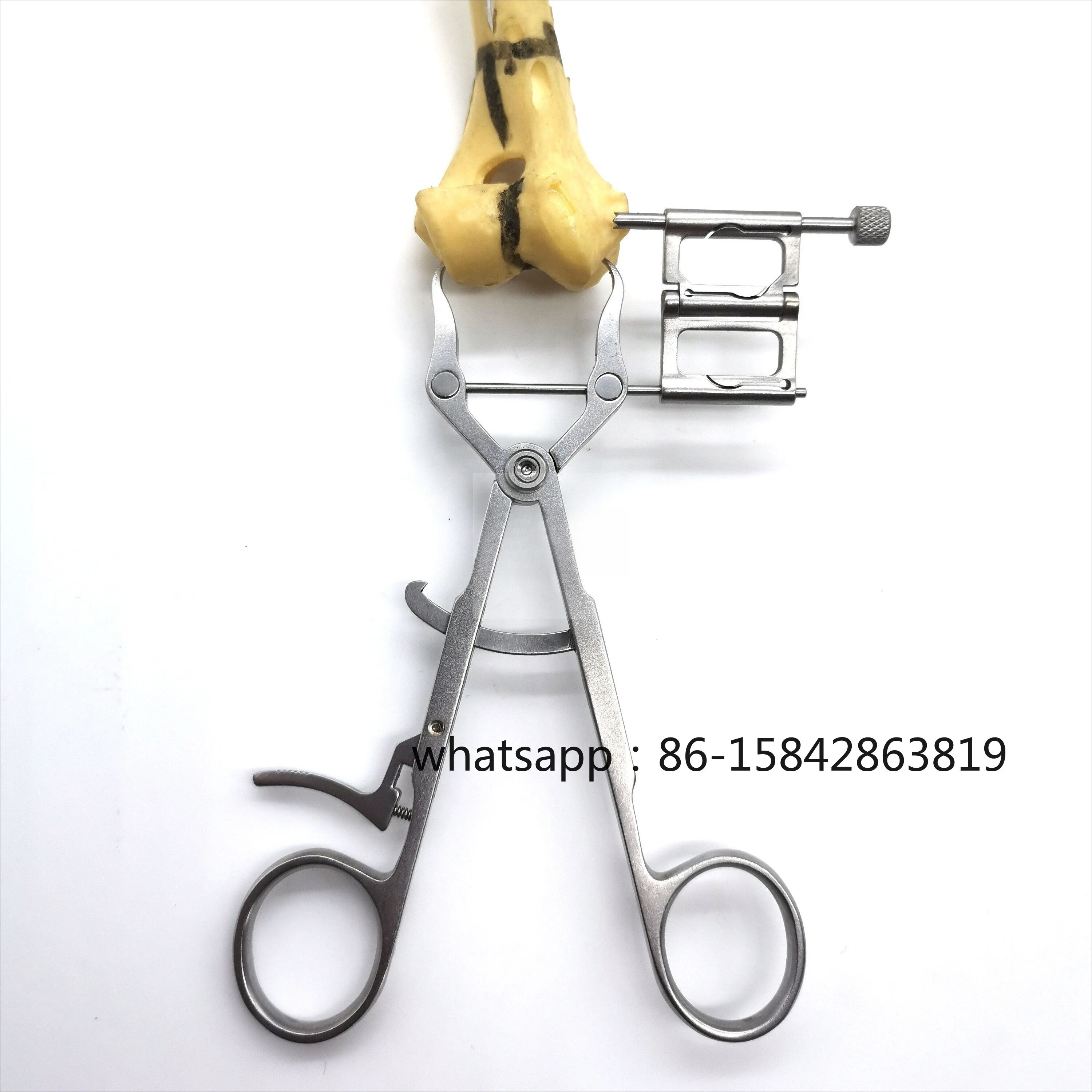 Pet Orthopedic Forceps, Distal Humeral Articular Condyle
Pet Orthopedic Forceps, Distal Humeral Articular Condyle