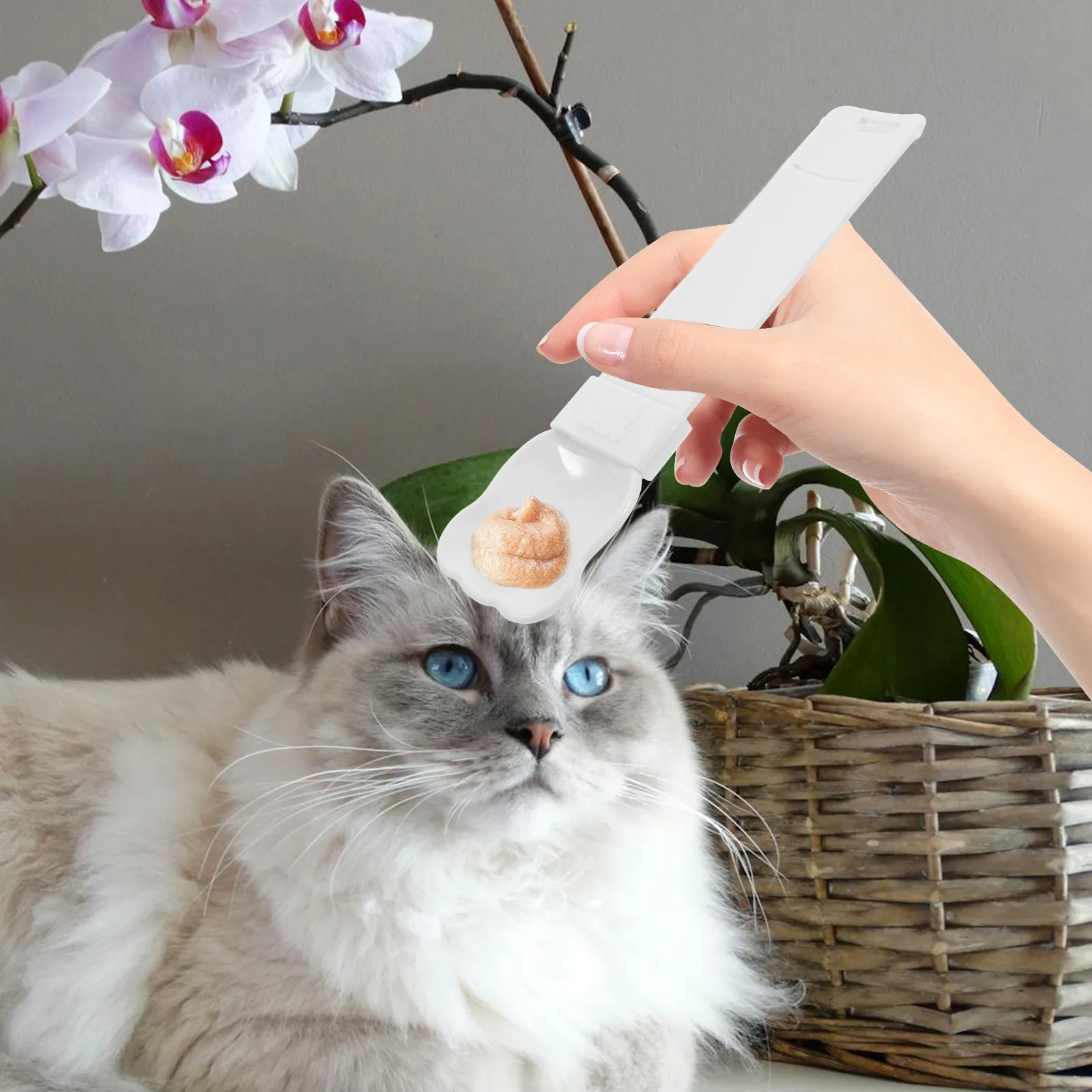 3Pcs Cat Squeezy Spoon Feeder for Strip Treats Wet Food Dispensing Tool Pet Food ABS Material Easy Wash Reusable
3Pcs Cat Squeezy Spoon Feeder for Strip Treats Wet Food Dispensing Tool Pet Food ABS Material Easy Wash Reusable